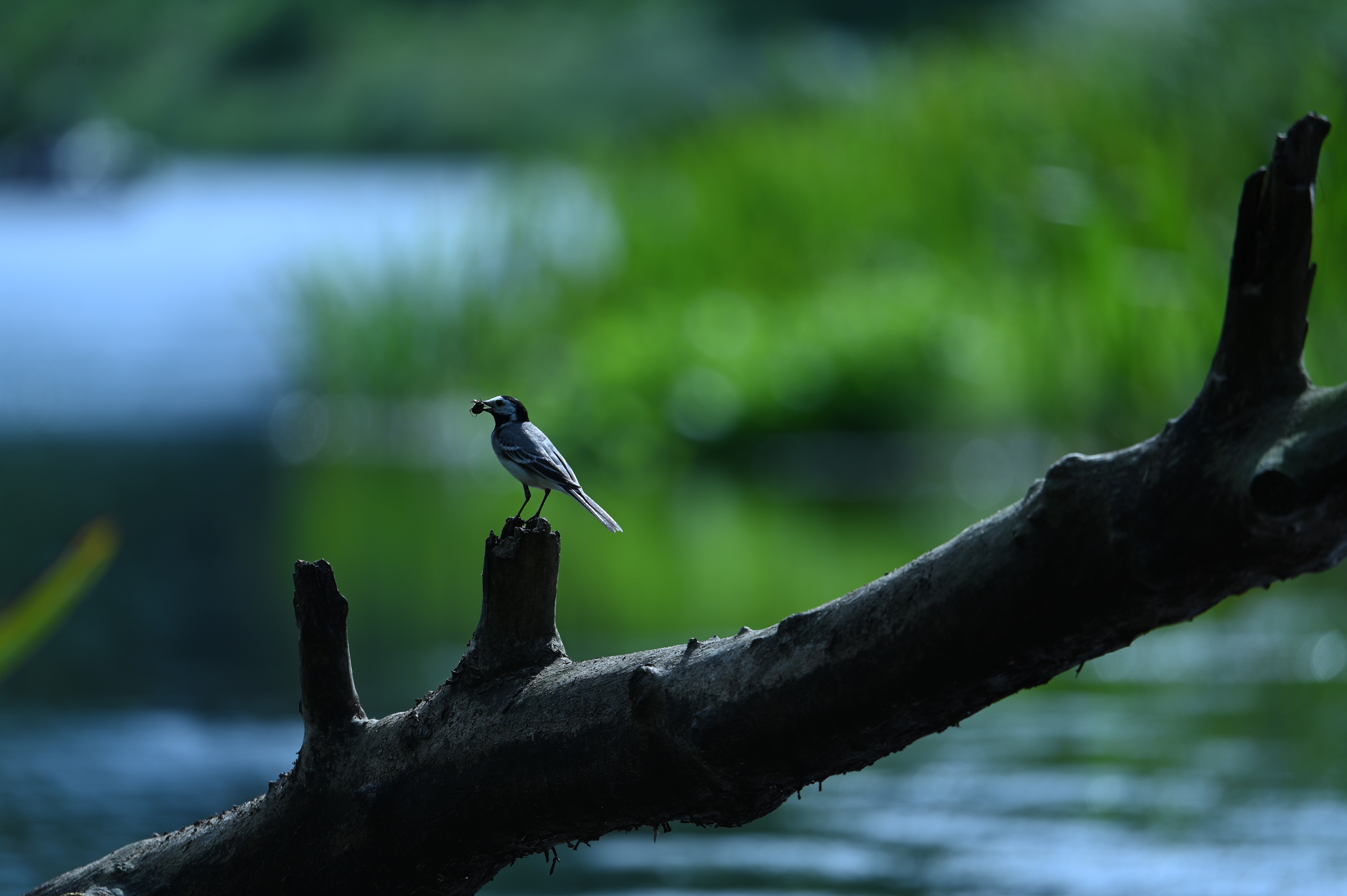 2025/07/09-14 - trip/DSC_0346.JPG